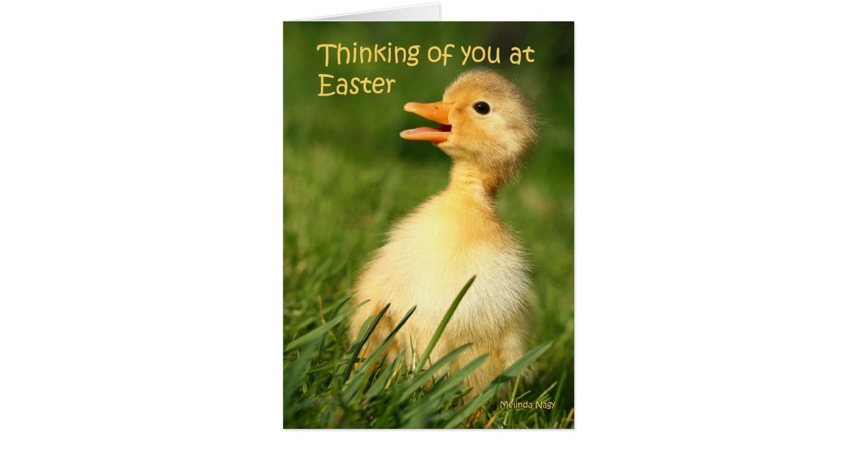 Thinking of you at easter card Zazzle