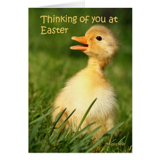 Thinking of you at easter greeting card Zazzle