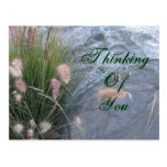 Thinking of You beach photo postcards