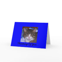 Thinking Of You-Berzerker Cards