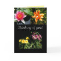 Thinking of you! Blank cards by princessklb07 Thinking of you! Blank cards