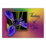 Thinking of You Blue Iris Greeting Card