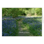 Thinking of you | Bluebell Woods II cards