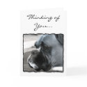 Thinking of You Boxer dog greeting card