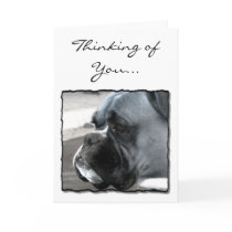 Thinking of You Boxer dog greeting card by ritmoboxer Thinking of You Boxer dog greeting card