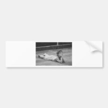 Thinking of You Bumper Stickers