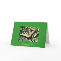 Thinking of You -- Butterfly cards by TagGal Thinking of You -- Butterfly cards