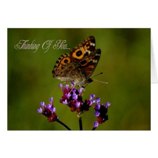 Thinking Of You. Butterfly Condolences Sympathy Greeting Cards
