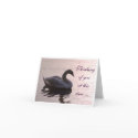 Thinking of you ... cards by awhitelaw Thinking of you ... cards