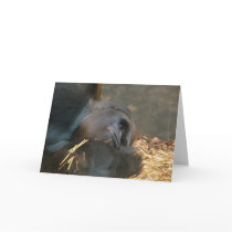 Thinking of you. cards