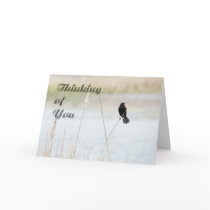 Thinking Of You Cards