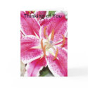 Thinking of You cards