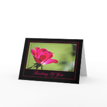 Thinking Of You Card