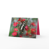 Thinking Of You cards by Priscilla48 Thinking Of You cards