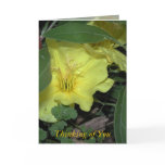 Thinking of You Cards