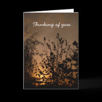 Thinking of you | cards by celtxian Thinking of you | cards