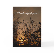 Thinking of you | cards