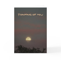 Thinking Of You cards