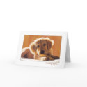 Thinking of You cards