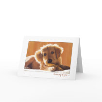 Thinking of You cards