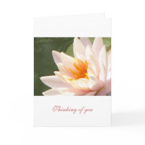 Thinking of you cards