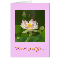Thinking of You Card