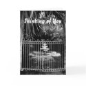 Thinking of You cards