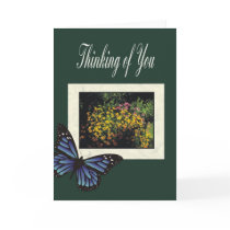 thinking of You cards