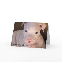 Thinking of you . . . cards by sansuebar Thinking of you . . . cards