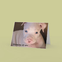 Thinking of you . . . cards