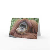 Thinking of you greeting cards