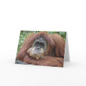 Thinking of you cards