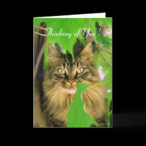 Thinking of You Card cards