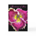 Thinking of You Card by Mike144mann Thinking of You Card