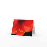 Thinking of You Card Thinking of You Card