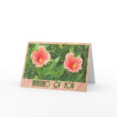 thinking of you card by DonnaGrayson_Photos