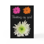 thinking, of, you, chrysanthemum, chrysanthemums,