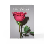 Thinking of you... greeting cards