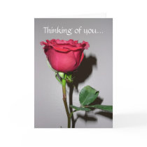 Thinking of you... cards by RoseGallery Thinking of you... cards