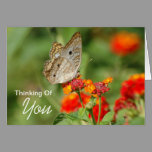 Thinking Of You cards