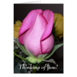 Thinking of you! card