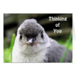Thinking of You Card