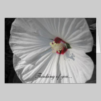 Thinking of you cards