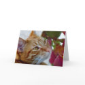 Thinking of you_Card_by Elenne Boothe by ELENNE Thinking of you_Card_by Elenne Boothe