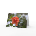 Thinking of You Card (Double Peach Hibiscus)