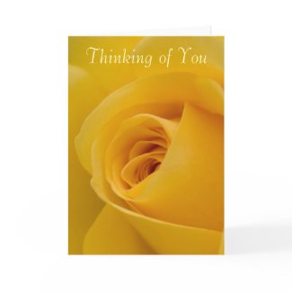 Thinking of you Card - Yellow Rose Flower