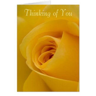 Thinking of you Card - Yellow Rose Flower