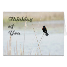 Thinking Of You Cards