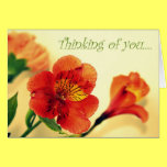 Thinking of you.... cards