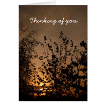 Thinking of you | cards